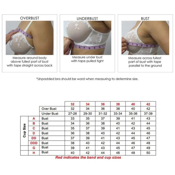 38DD Paramour 115009 Ellie Demi Unlined Sheer Lace Underwire Bra Pink NWT 💗 - Picture 5 of 11